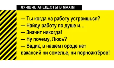 Лучшие анекдоты про трудоустройство и собеседования | MAXIMonline.ru | Дзен