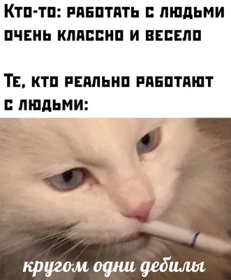 Ательє Щастя - 😂😂😂 #ательесчастья #приколы #работа #смешное | Facebook