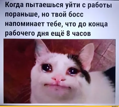 Завтра на работу 😢😢😢😢#выходныепришли #поранаработу #янепомнюгдеябы... |  TikTok