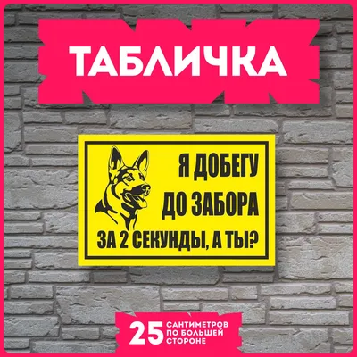 Приколы про животных 2 – смотреть онлайн все 33 видео от Приколы про  животных 2 в хорошем качестве на RUTUBE