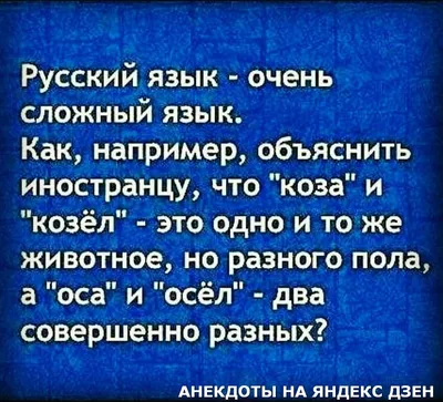 Анекдоты про девушек. Случай за столом.Смешные приколы | Татьяна Петрова |  Дзен