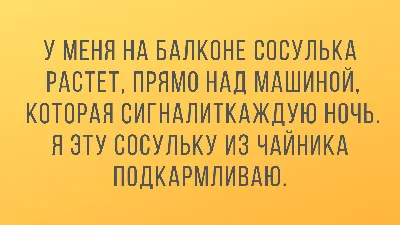 День автомобилиста 2021: прикольные открытки и поздравления для водителей  31 октября - sib.fm