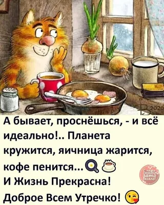 Доброе утро прикольные картинки. 90 новых картинок с добрым утром. | Доброе  утро, Цитаты, Смешные поздравительные открытки