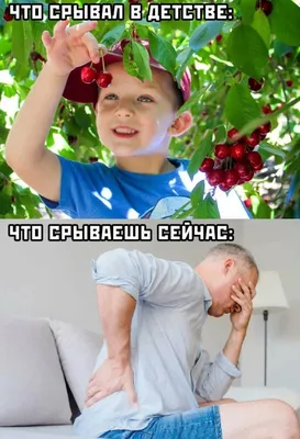 Новые смешные картинки