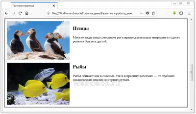 Что можно узнать, просмотрев код страницы сайта? | Влад-А