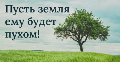 Иванов Роман Юрьевич погиб 05.03.2023 из региона Ленинградская область, г.  Сланцы, Сланцевский район