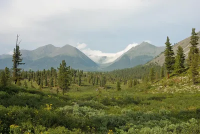 Иркутская область | Пикабу