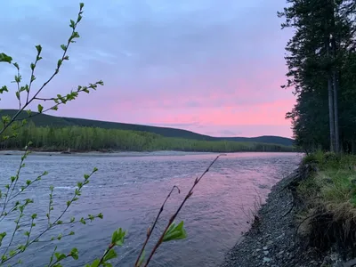 Природа Хабаровского края 😍 - Комсомольск-на-Амуре | Facebook