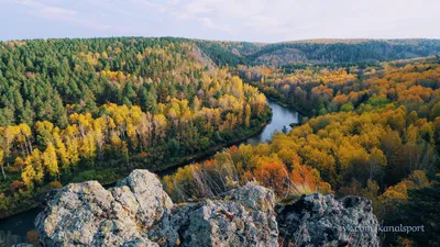 Foto de Летний сельский пейзаж с коровами. Россия,Сибирь,Новосибирская  область do Stock | Adobe Stock