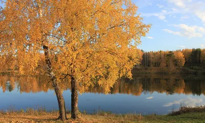 Природа Новосибирской области с высоты (2010)