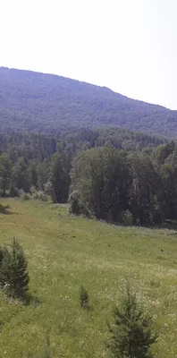 Немного фоток с видами Новосибирской области | Пикабу