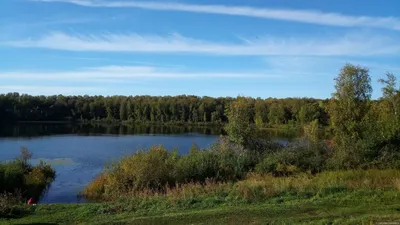 Верховья реки Мильтюш близ села Горёвка. Место силы ?! Искитимский район Новосибирской  области. Западная Сибирь России. | Сибирь в объективе. Евгений Мухортов |  Дзен