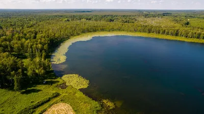 Немного фоток с видами Новосибирской области | Пикабу