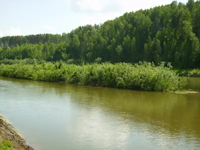 Куда съездить на выходные в Новосибирске, где отдохнуть на выходных под  Новосибирском - 29 апреля 2022 - НГС