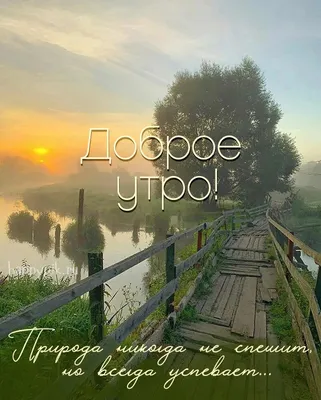 Доброе утро! 🌸 \"Доброе утро\" - щебечет природа... 🌸 Доброго утра желаю  тебе!🌸 Good morning! - YouTube