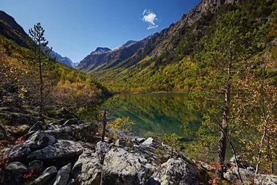 🌲 природа Северного Кавказа, зима, …» — создано в Шедевруме