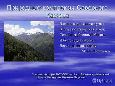 Дикая природа Северного Кавказа: заповедники и национальные парки — Яндекс  Путешествия