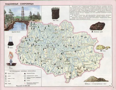 Роспотребнадзор о качестве воды в водоемах Томской области