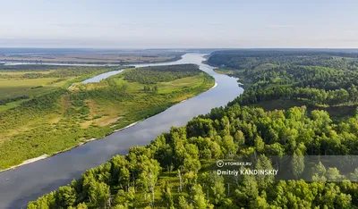 Природа Томской области – По-Сибири