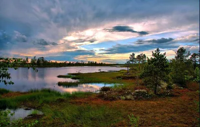В Томской области созданы две особо охраняемые природные территории |  Департамент природных ресурсов и охраны окружающей среды Томской области