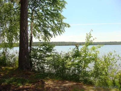 Озеро Мундштучное, расположенное на севере Томской области, включено в  список памятников природы - Томский Обзор – новости в Томске сегодня