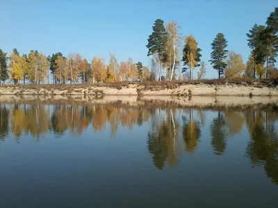 Скрытая от глаз красота: фотопутешествие по тайге и болотам Томской области  - vtomske.ru