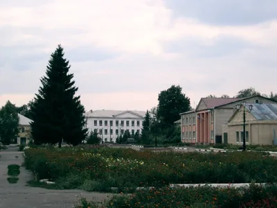 В поселке Пристень Курской области приступили к замене наружного освещения  | Юго-Западный государственный университет