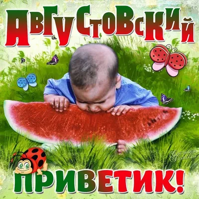 🐞🌻 🍉🌞🍉 🌻🐞 АВГУСТ, ПРИВЕТ! | Открытки, Привет, август, Лето