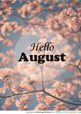 Hello August Pictures | August pictures, Hello august, Hello august images