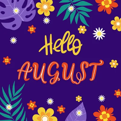 Hello August – MasterBundles