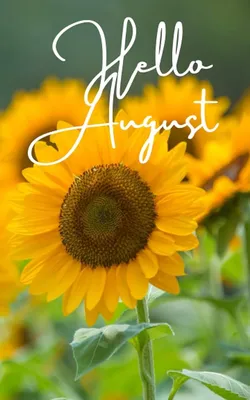 Hello August Photos and Images | Shutterstock