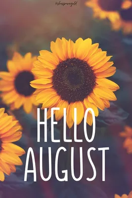 Hello August Month Wallpapers | August wallpaper, Hello august, Hello  august images