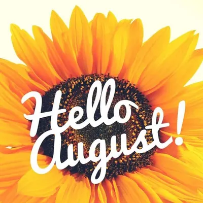 Hello august hi-res stock photography and images - Alamy