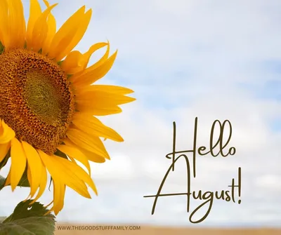 Hello August Flower Illustrator Instagram Post | PSD Free Download - Pikbest