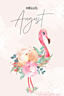 Tamsyn Morgans | Hello August!