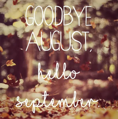 Lettering hello august Royalty Free Vector Image