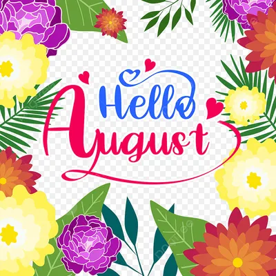 Hello August Greeting On Pink Chrysanthemum Stock Photo 1452390176 |  Shutterstock