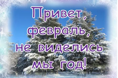 Привет февраль! Доброе февральское утро! Картинки, открытки и пожелания в  стихах и в прозе! Доброе утро, февраль! Привет, февраль! Доброго утра всем!  Пусть это... | Страница 3