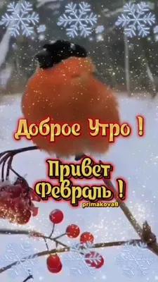 Доброе февральское утро! Открытки и пожелания в прозе! Привет, февраль!  Открытки с блёстками на фоне! Открытка! С добрым февральским утром!  Картинка с... | Страница 4