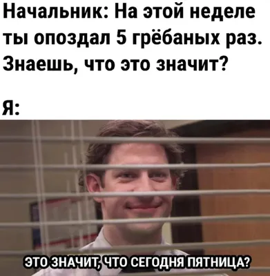 Вы уверены, что эти смешные фразы 2024 поднимут вам настроение? | Картинки  с юмором прикольные | Дзен