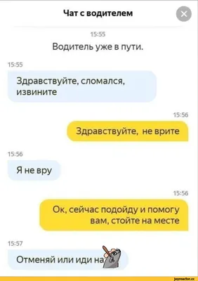 Самые смешные фото котов, которые наделали шума в интернете