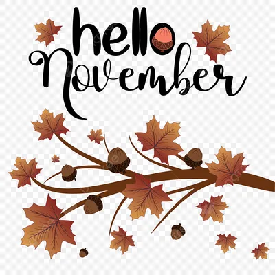 Hello november background Royalty Free Vector Image