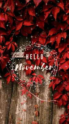 Hello November Clipart Images | Free Download | PNG Transparent Background  - Pngtree