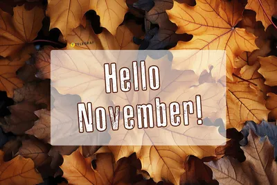 Wallpaper November | Hello november, November wallpaper, Christmas wallpaper