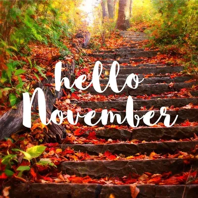 Hello November png download - 3768*3768 - Free Transparent Hello November  png Download. - CleanPNG / KissPNG