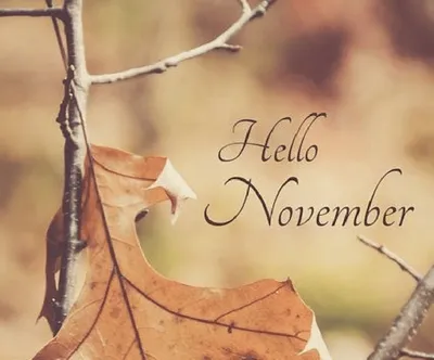 Hello November, Autumn Background, Autumn greetings Banner with floral  illustration 11948357 Vector Art at Vecteezy