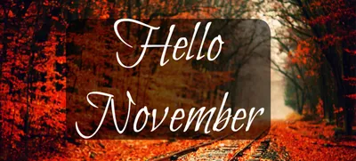 Hello November - Mon, Nov 02 7:30PM at Toronto