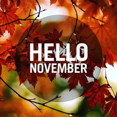 Hello November - Scrapbook Page Title Sticker – Autumn's Crafty Corner