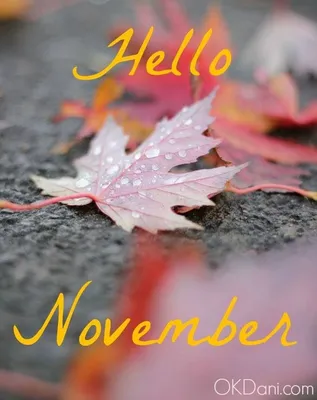 Pin by ashly kindle on Hello | Hello november, New month greetings,  Beautiful fall