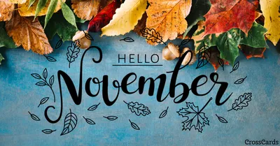 Hello November Photos and Images | Shutterstock